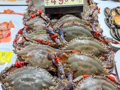 -渔娘渔家丹东海鲜(东直门店)