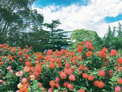 -国家植物园南园