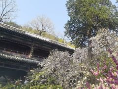 -潭柘寺景区
