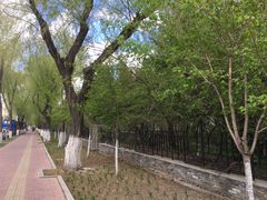 -长春公园(普阳街道)