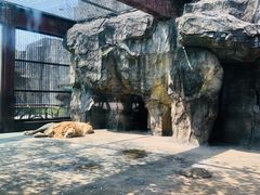 -南昌动物园