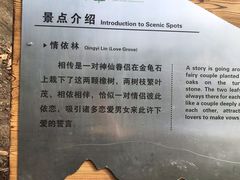 -石老人观光园