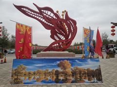 -金塔沙漠胡杨林景区