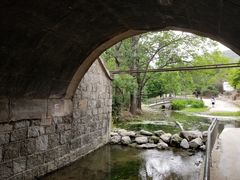 -白水寺森林公园