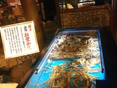 -蟹道乐(網元別館店)