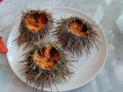 海胆-锦厨国际自助餐厅 · 云端景观 (昆明索菲特大酒店)