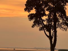 -滆湖低碳生态公园