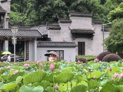 -重庆园博园