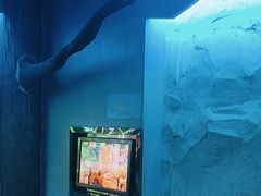 -皓声音KTV(新景店)