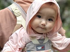 -西岭雪山大飞水景区