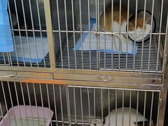 -荔康动物医院(康王北路店)