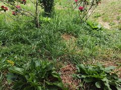 -名花谷生态庄园