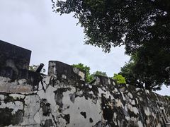 -大炮台