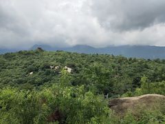 -白水寺森林公园