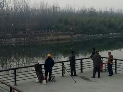 -西安汉城湖景区