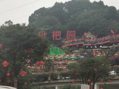 -枇杷园食为鲜火锅(南山店)