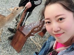 -鹿境梅花鹿生态园区