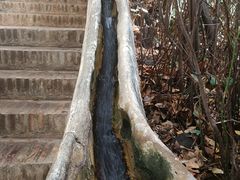 -阿尔罕布拉宫