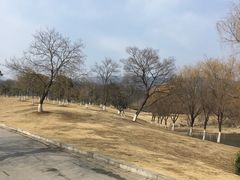 -钟山体育运动公园