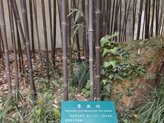 -杭州黄龙洞