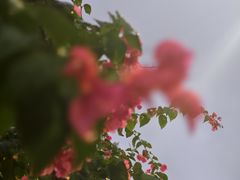 -白石龙音乐公园