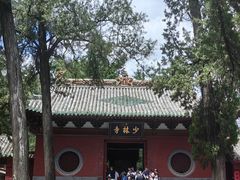 -少林寺欢喜地素斋馆