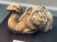 -安阳博物馆