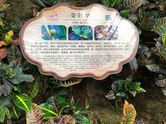 -南山植物园
