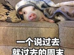 -红菇坊鲜汤火锅(北站店)