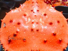 -蟹之国·精品蟹料理(极地店)