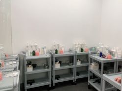 点击看大图 -WENDY·温迪皮肤管理