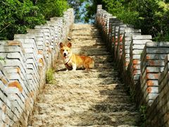 -云岫谷自然风景区