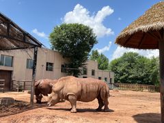 -鄂尔多斯野生动物园