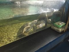 -苏州海洋馆