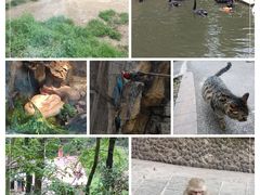 -黔灵山公园