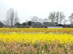 -中国天府农业博览园