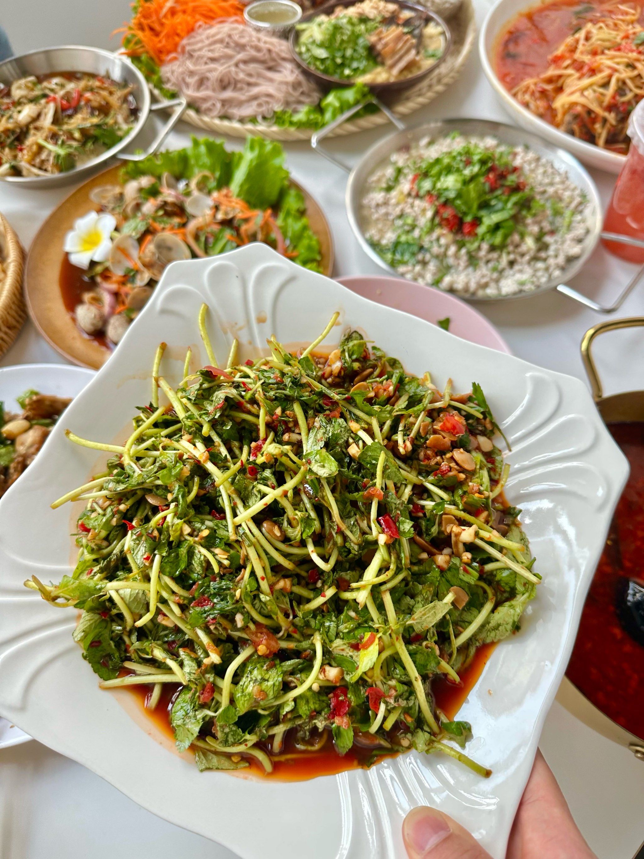 建议来安宁的都给我安排上!