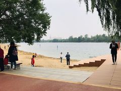 -淇河金沙滩