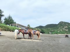-台山黑沙湾海浴场