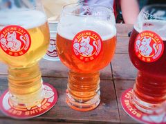 -Boxing Cat Brewery拳击猫精酿啤酒馆(永福店)