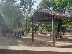 -西安秦岭野生动物园