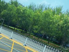 -中央民族大学