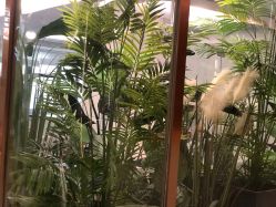 -爱瑞馨母婴护理中心(爱悠悠店)