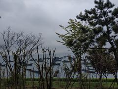 -海源公园