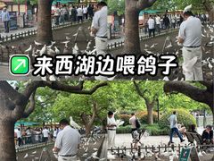 -杭州湖滨in77