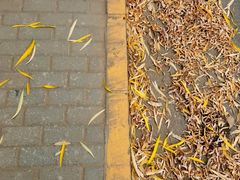 -南长河公园