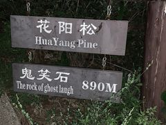 -鬼笑石后山停车场