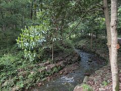 -黄公望隐居地
