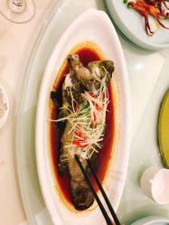 -华盛外滩宴会中心(越城店)