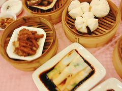 -满福隆酒楼(万绿园店)